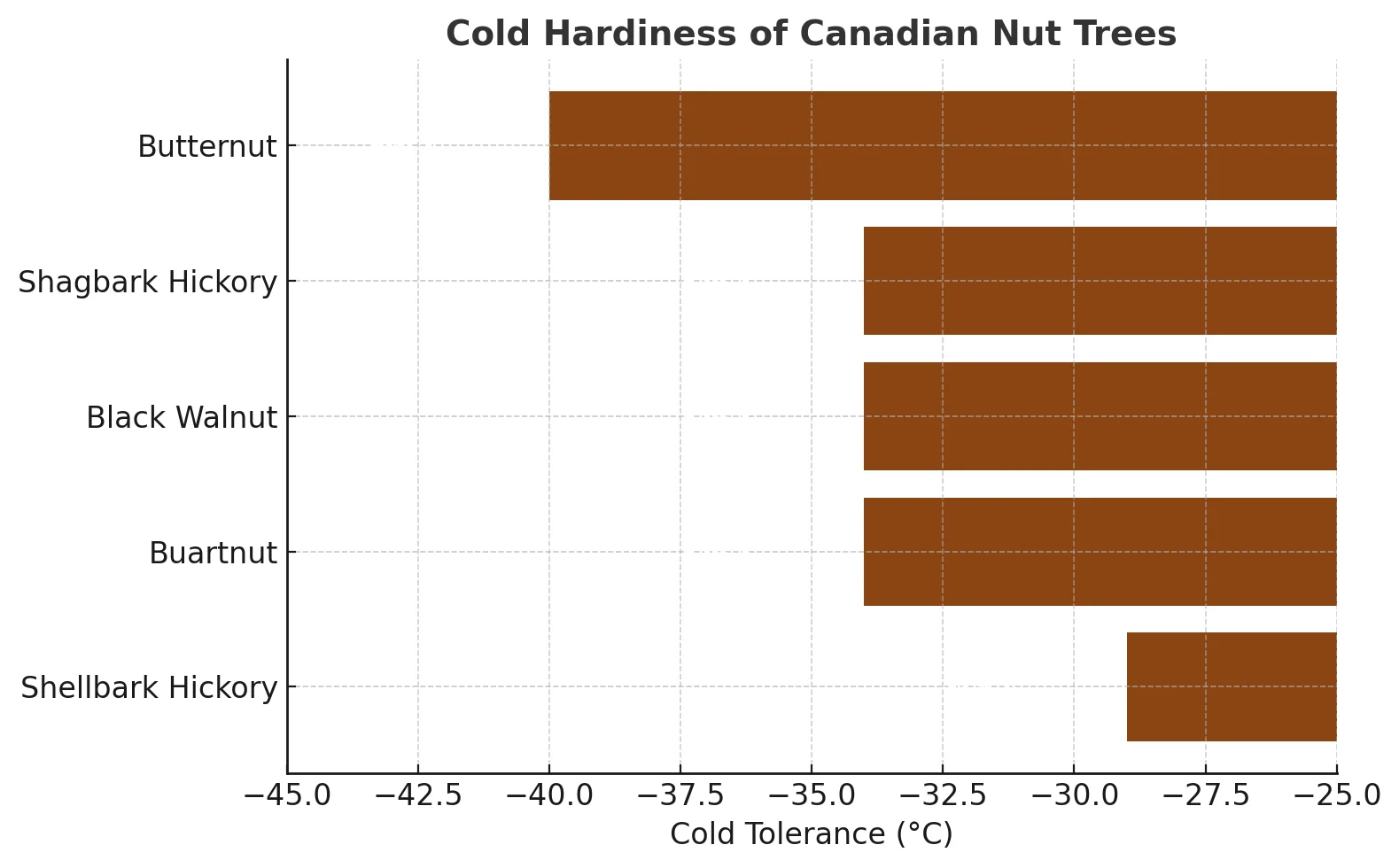 Most cold hardy nut tree